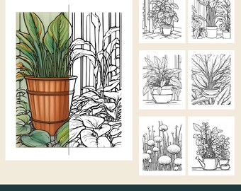 12 Printable Potted Plant Coloring Pages, Herbs, Leaves, Ferns, Hosta (PDF Download)
