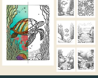 12 Printable Ocean Coloring Pages, Coral Reef, Sea Turtle, Seahorse, Kelp (PDF Download)