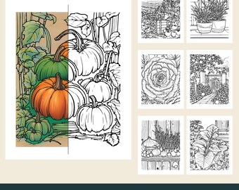 12 Printable Vegetable Coloring Pages, Kitchen Garden Scenes, Herbs, Pumpkins (PDF Download)