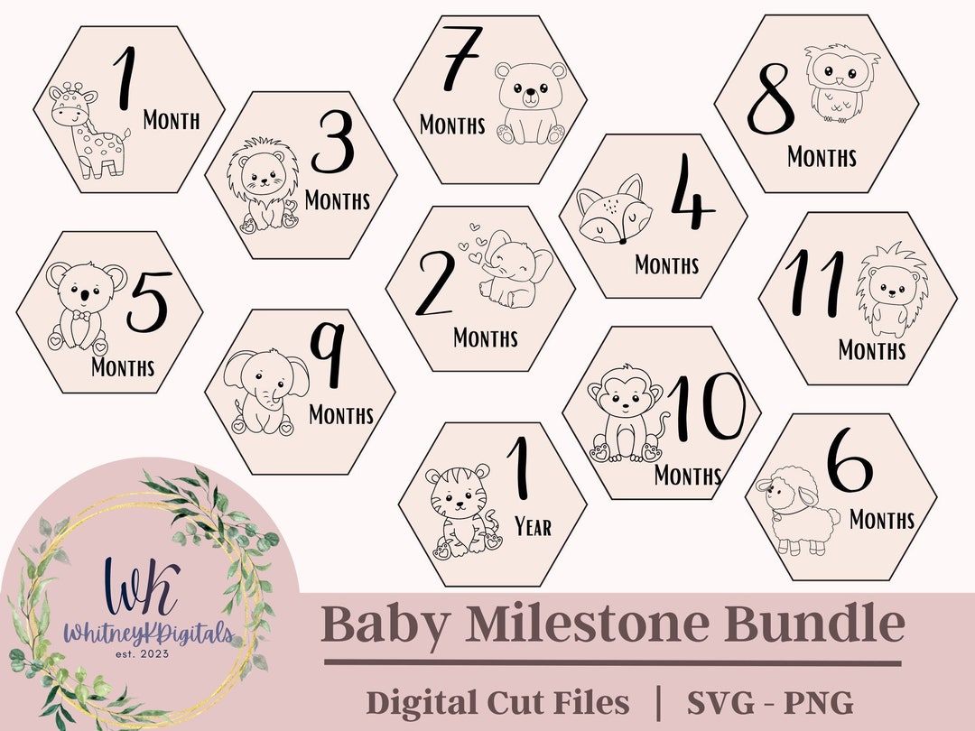 Baby Monthly Milestone SVG and PNG Bundle, Baby Announcement Files, One ...