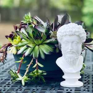 Marcus Aurelius Bust / Statue | Stoic Gift