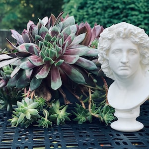 Alexander the Great Bust / Statue