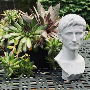 Roman Emperor Augustus Bust / Statue | Roman History Gift
