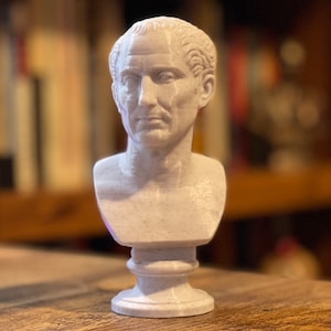 Op de afbeelding: Een witte buste van een man met kort haar en een serieuze uitdrukking. De buste staat op een voetstuk en lijkt gemaakt van een gespikkeld, steenachtig materiaal. De achtergrond is wazig, met hints van boeken en een houten oppervlak.