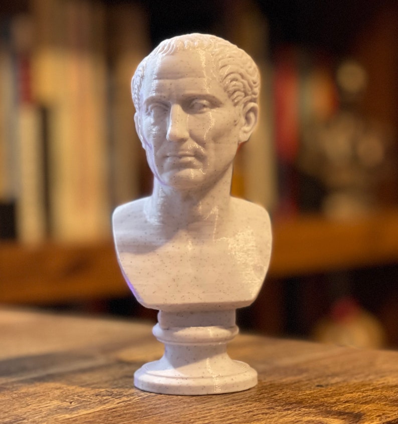 Op de afbeelding: Een witte buste van een man met kort haar en een serieuze uitdrukking. De buste staat op een voetstuk en lijkt gemaakt van een gespikkeld, steenachtig materiaal. De achtergrond is wazig, met hints van boeken en een houten oppervlak.