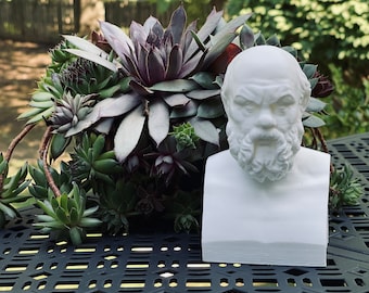 Socrates Bust / Statue