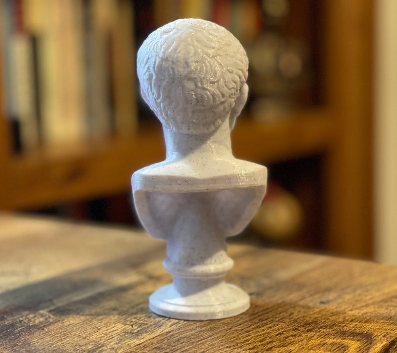 Op de afbeelding: Een witte buste van een persoon met krullend haar, van achteren gezien. De sculptuur staat op een voetstuk en lijkt gemaakt van een gespikkeld, steenachtig materiaal. De buste staat op een houten tafel.