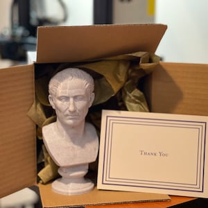 Op de afbeelding: Een buste van een Romeinse keizer, waarschijnlijk Caesar, gemaakt van een gespikkeld, lichtgekleurd materiaal, staat in een open kartonnen doos. De doos bevat bruin inpakpapier en een kaart met "Thank You".