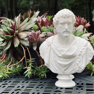 Roman Emperor Antoninus Pius Bust / Statue | Roman History Gift