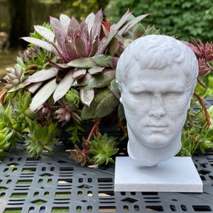 Marcus Vipsanius Agrippa Bust / Statue | Roman History Gift