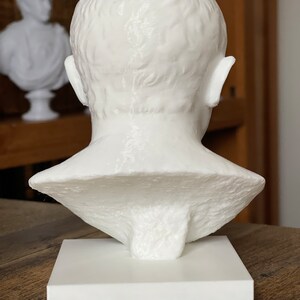 Cicero Bust / Statue | Roman History Gift Bild 5
