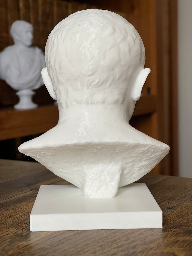 Cicero Bust / Statue | Roman History Gift Bild 5