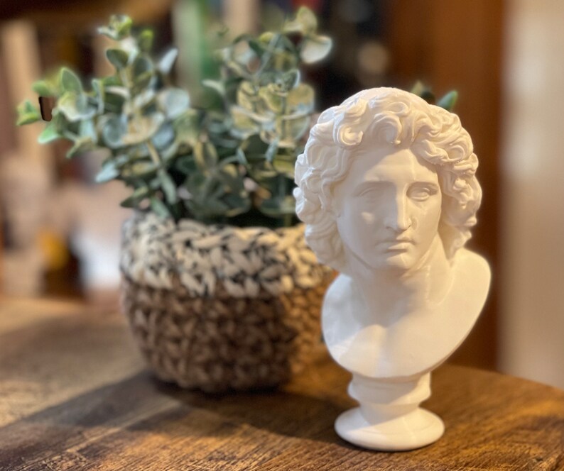 Alexander the Great Bust / Statue Etsy
