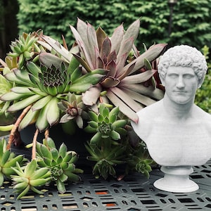 Mark Antony Bust / Statue | Roman History Gift
