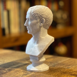 Op de afbeelding: Een lichtgrijze buste van een man met kort haar en een gedetailleerd gezicht. De buste is gemonteerd op een voetstuk. De sculptuur is gemaakt van een gespikkeld materiaal en wordt tentoongesteld op een houten oppervlak.