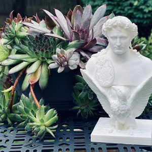 Napoleon Bonaparte Bust / Statue