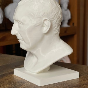 Cicero Bust / Statue | Roman History Gift Bild 4