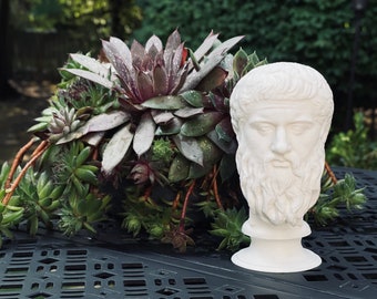 Plato Bust / Statue