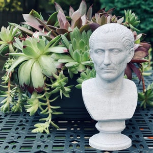 Julius Caesar Bust / Statue | Roman History Gift
