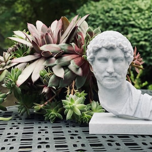 Roman Emperor Hadrian Bust / Statue | Roman History Gift