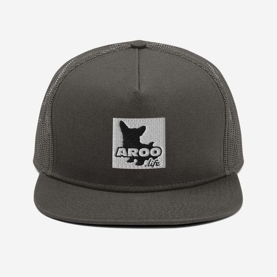 Mesh Back Snapback