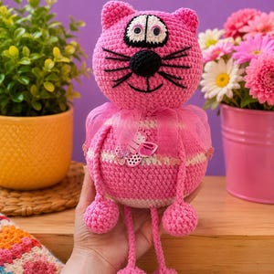 Rund mage katt bild 1
