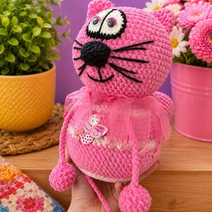 Rund mage katt bild 3