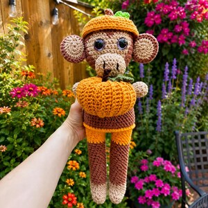 long-legged monkey with pumpkin image 4