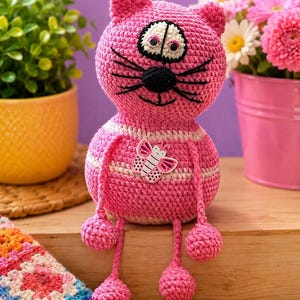 Rund mage katt bild 2