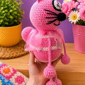 Rund mage katt bild 4