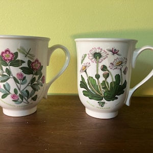 Vintage Portmeirion Mugs Pair Made in Britain