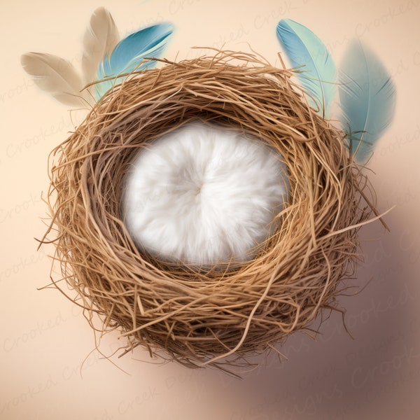 Newborn Photography Digital Easter Backdrop, Birds Nest with Blue Feathers PSD and JPG files