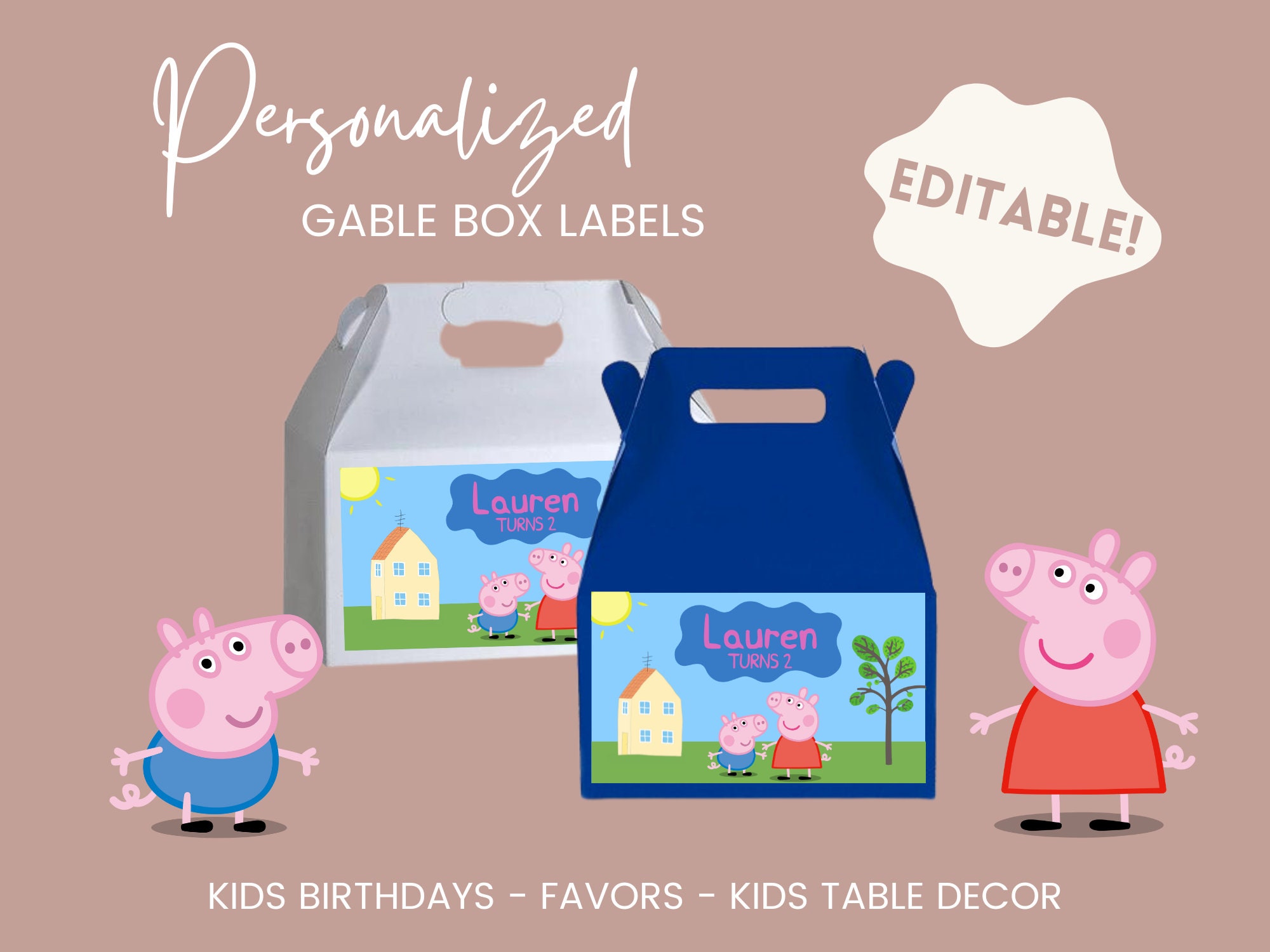 Enfants Peppa Pig Anniversaire Cadeau Emballage X 2 avec Étiquettes George  & Fun