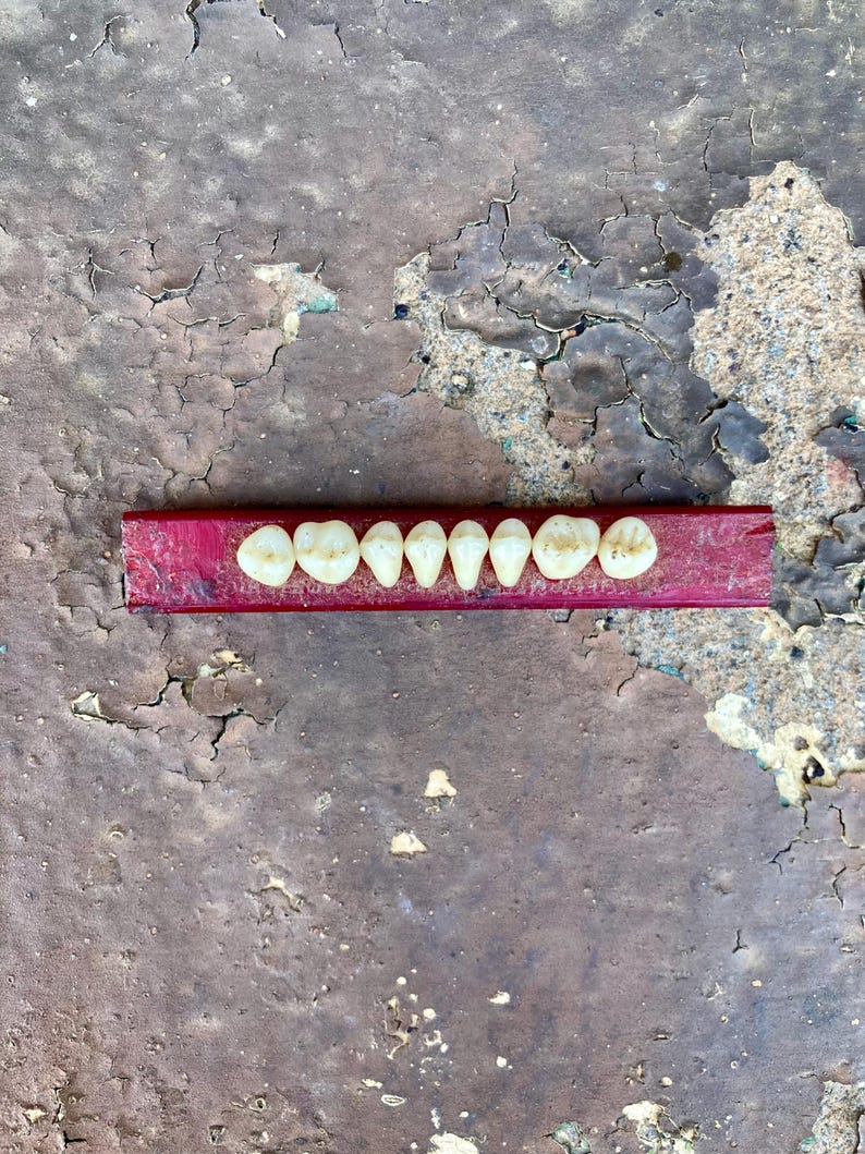 Rectangular Frame Teeth Porcelain Prosthetic Teeth Amalgamated Dental Co London England Early ...