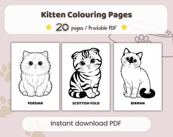 Kitten Coloring Pages, 30 Printable Sheets (PDF Download A4/Letter Size)