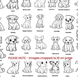 May include: A black and white coloring page featuring various puppy breeds with their names printed below each illustration. The text "PLEASE NOTE - Images cropped to fit on page" is centered in red. The dogs include Cavalier, Boxer, Border collie, Shih Tzu, Dachshund, Australian Shepherd, Chihuahua, Staffy, Bulldog, Belgian Malinois, Greyhound, Cavoodle, Rottweiler, Cocker spaniel, Bull Terrier, Beagle, Poodle, French Bulldog, Dobermann, Labrador, Pug, Bichon Fris&eacute;, Maltese, Corgi, German Shepherd, Golden Retriever, Dalmatian, Husky, and Chow Chow.