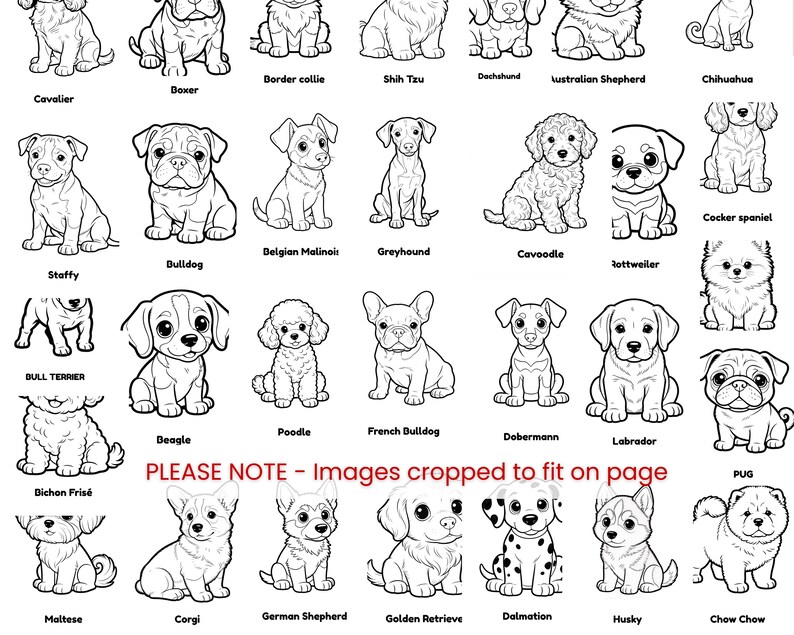 May include: A black and white coloring page featuring various puppy breeds with their names printed below each illustration. The text "PLEASE NOTE - Images cropped to fit on page" is centered in red. The dogs include Cavalier, Boxer, Border collie, Shih Tzu, Dachshund, Australian Shepherd, Chihuahua, Staffy, Bulldog, Belgian Malinois, Greyhound, Cavoodle, Rottweiler, Cocker spaniel, Bull Terrier, Beagle, Poodle, French Bulldog, Dobermann, Labrador, Pug, Bichon Fris&eacute;, Maltese, Corgi, German Shepherd, Golden Retriever, Dalmatian, Husky, and Chow Chow.
