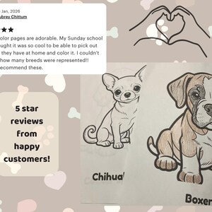 May include: Two dog coloring pages featuring a black and white line drawing of a Chihuahua and a partially colored drawing of a Boxer puppy. The text labels Chihuahua and Boxer appear below each respective dog illustration on the white paper sheets.