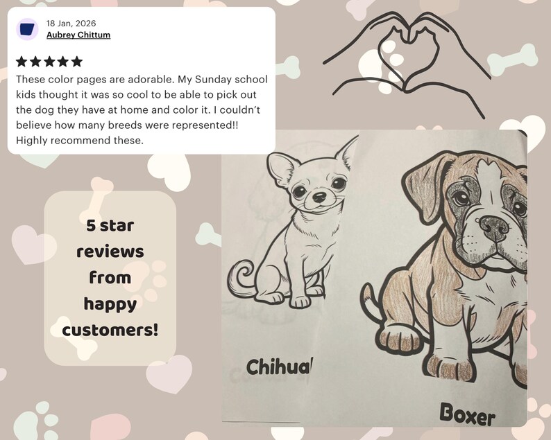 May include: Two dog coloring pages featuring a black and white line drawing of a Chihuahua and a partially colored drawing of a Boxer puppy. The text labels Chihuahua and Boxer appear below each respective dog illustration on the white paper sheets.