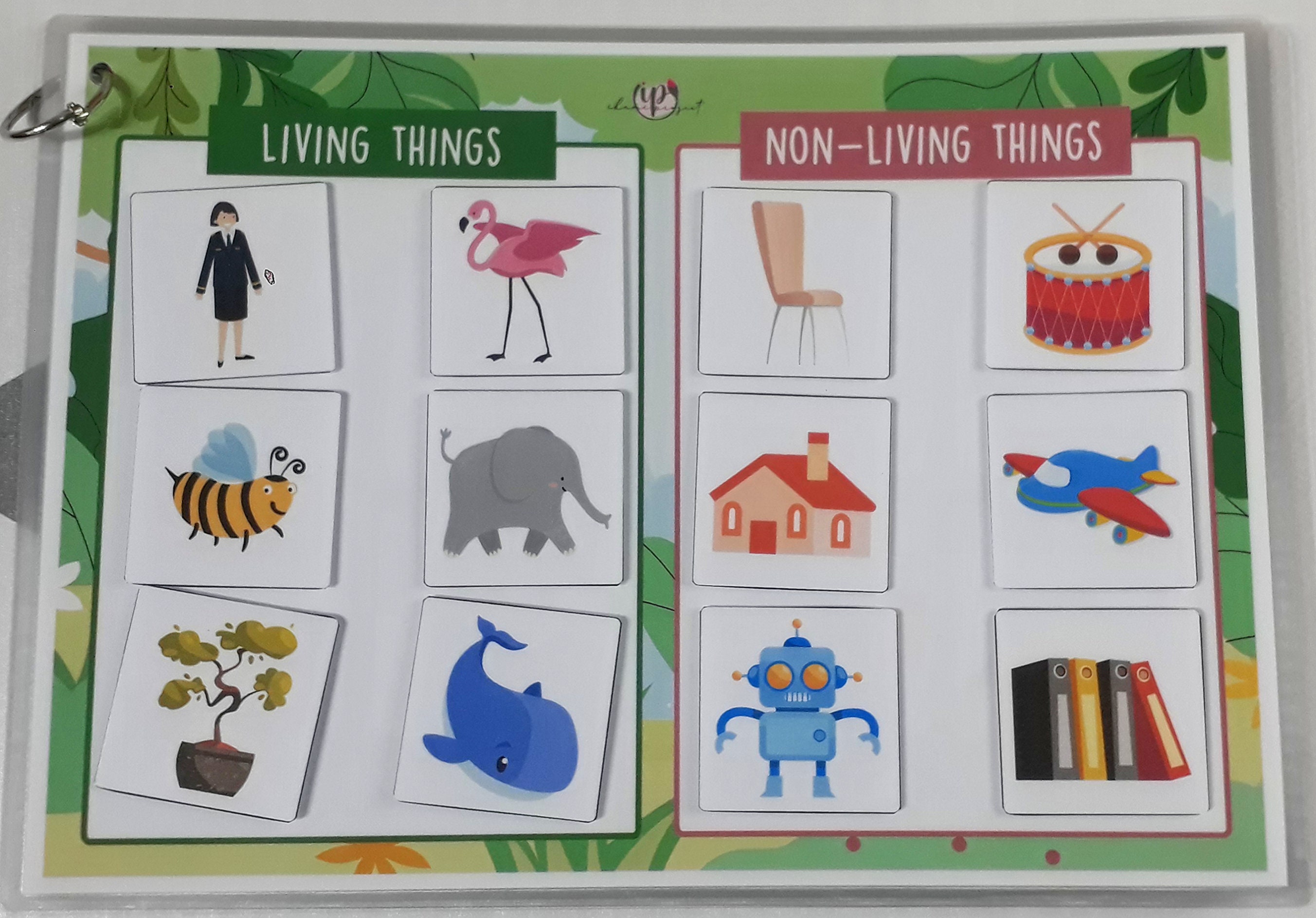 PRINTABLE BASIC SCIENCE Binder Book, Toddler 2-6 Years Old Busy Book ...