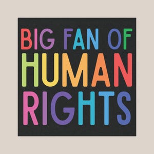 Big Fan Of Human Rights Car Magnet, Resistance Equality, Anti MAGA, Anti Trump Bumper Magnet, LGBTQ+ Pride, Liberal Auto Accessory