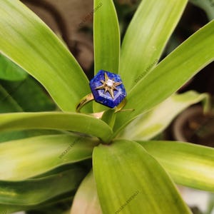 Könnte beinhalten: Ein goldener Ring mit einem blauen sechseckigen Stein, der mit einem kleinen Diamanten in der Mitte besetzt ist. Der Stein ist von goldenen Spitzen umgeben, die eine Sternform bilden. Der Ring liegt auf einem grünen Blattwerk.