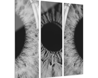 Optometry Clinic Wall Art for Optometrist Office & Ophthalmology Ophthalmologist Decor Human Iris OD OMD Gift Optical Eye Anatomy Print