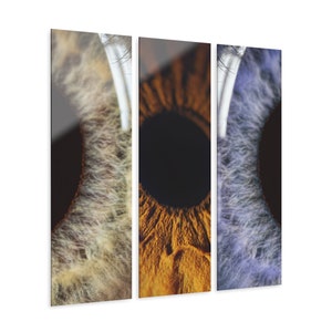 Optometrie kliniek kunst aan de muur voor optometrist kantoor & oogheelkunde oogarts decor menselijke Iris OD OMD gift optische oog anatomie print