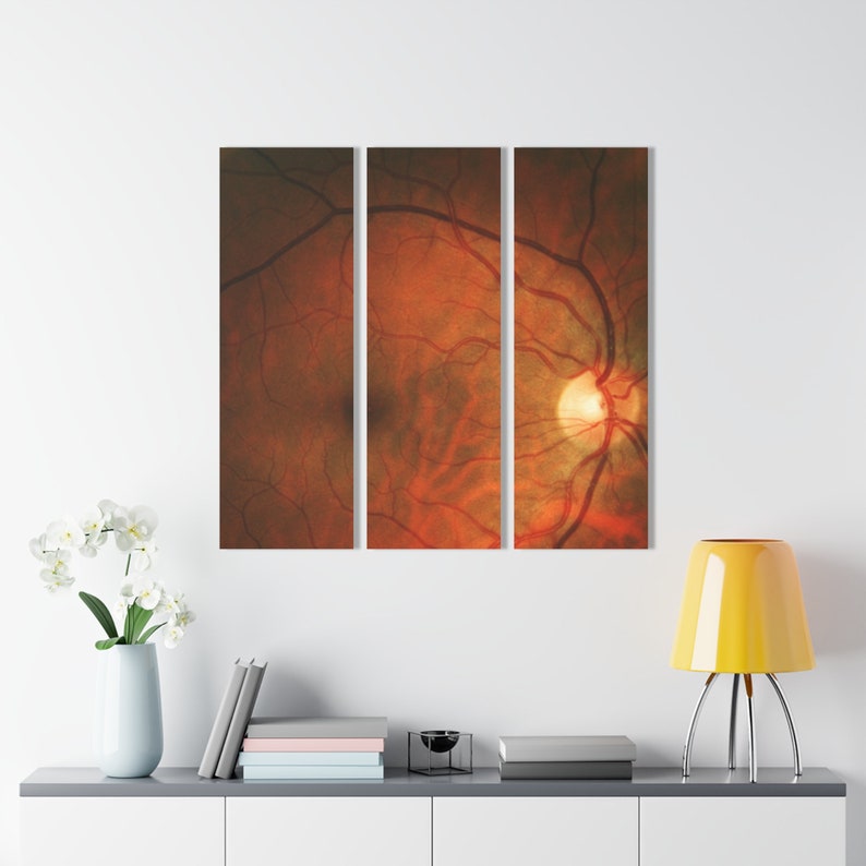 Optometry Mural Optometry Clinic Wall Art for Optometrist Office & Ophthalmology ...