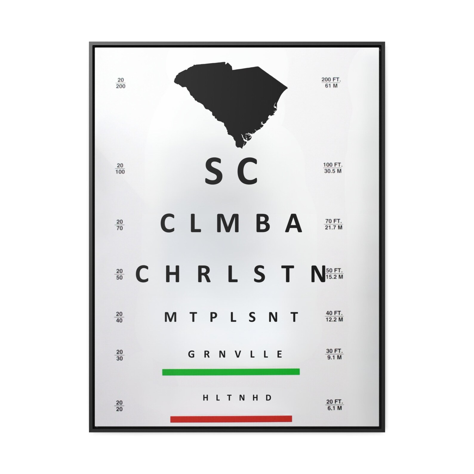 South Carolina Visual Acuity Chart Perfect Graduation Gift Wall Decor ...