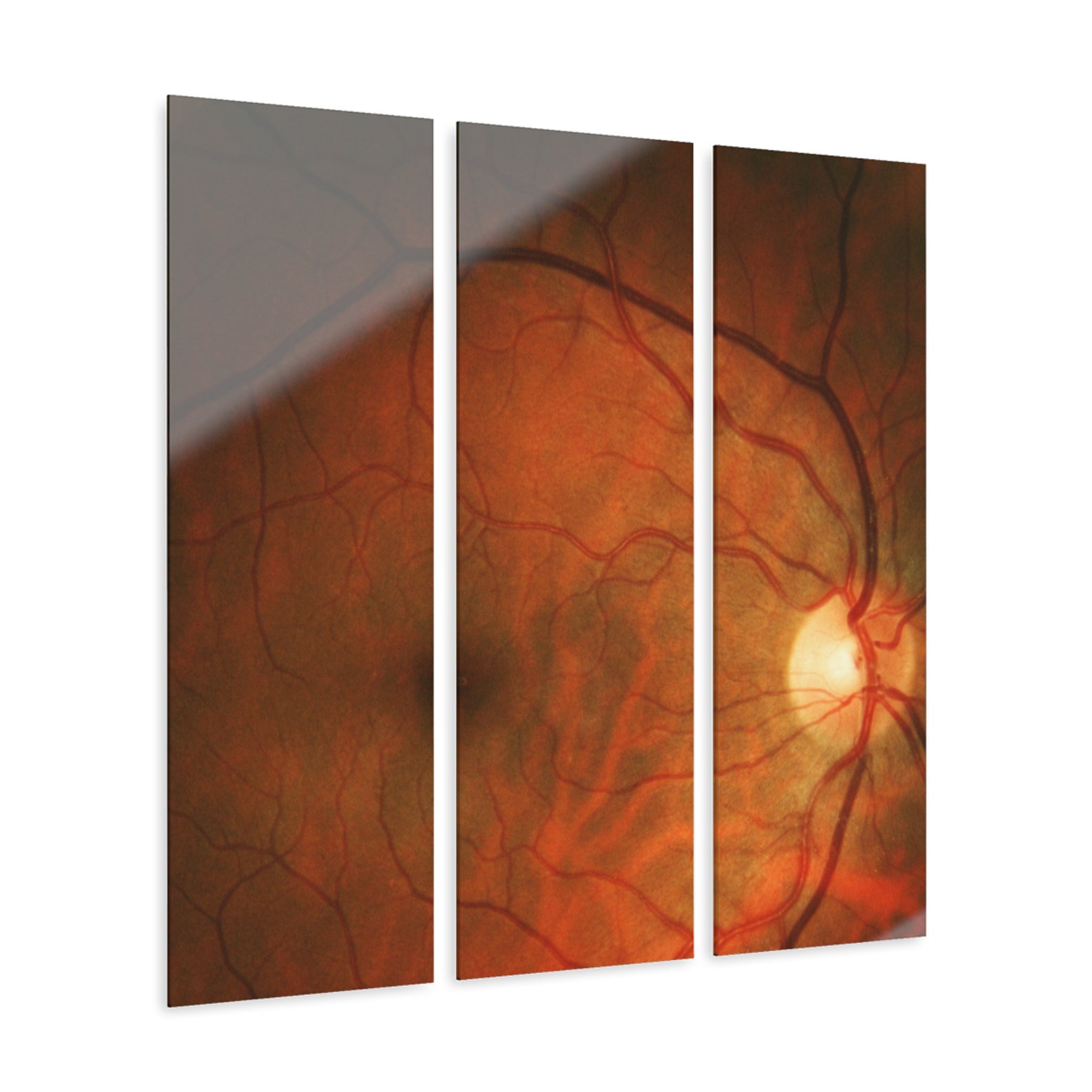 Optometry Mural Optometry Clinic Wall Art for Optometrist Office & Ophthalmology ...