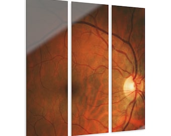 Optometry Clinic Wall Art for Optometrist Office & Ophthalmology Ophthalmologist Decor Retina OMD OD Gift Optical Eye Anatomy Fundus Photo