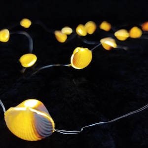 May include: A string of illuminated seashell lights with a warm yellow glow. The shells are strung on thin, silver wires against a dark background, creating a soft, ambient light. Ideal for beach-themed decor or adding a touch of coastal charm.