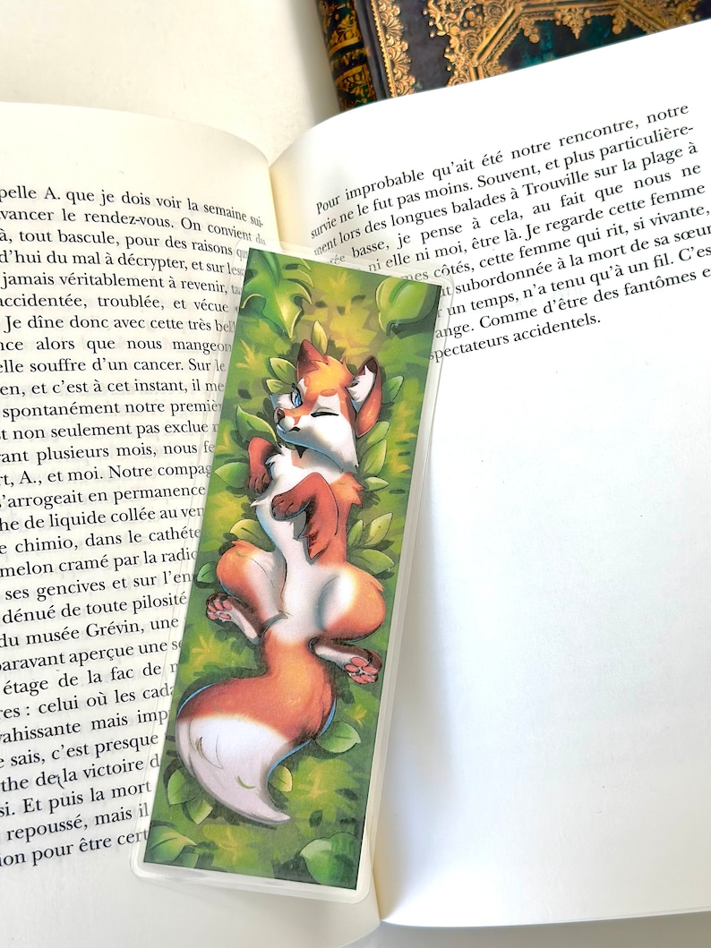 Bookmark Fox image 1